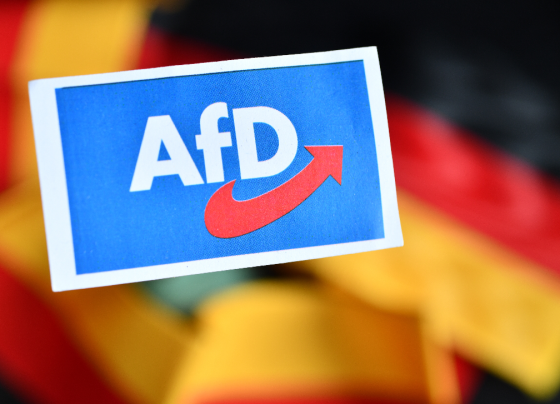 afd-präsentiert-wahlprogramm-für-2025