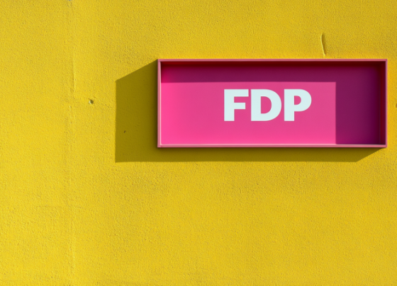 fdp-wahlprogramm-2025-freiheit-und-innovation-im-fokus