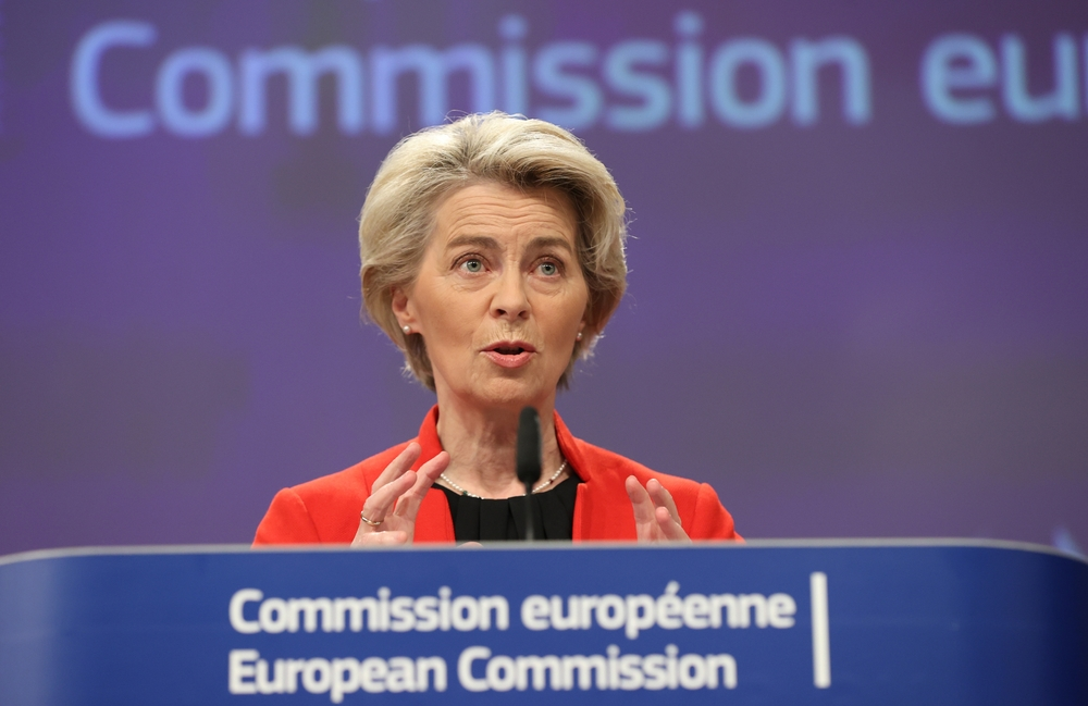 Merz stößt mit Kritik am EU-Gesetz auf Widerstand