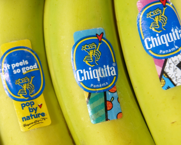 massenentlassungen-bei-chiquita-erschüttern-panama