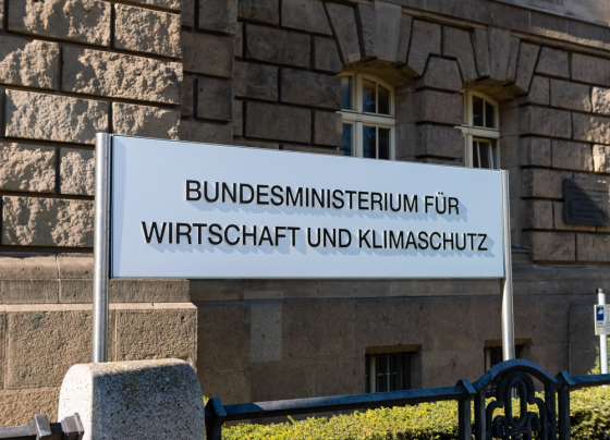 reiche-räumt-auf:-habecks-führungsteam-muss-gehen