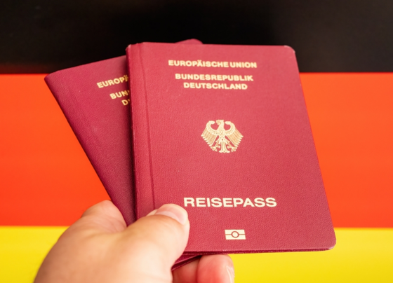 einbürgerungszahl-2024-erreicht-historischen-höchststand