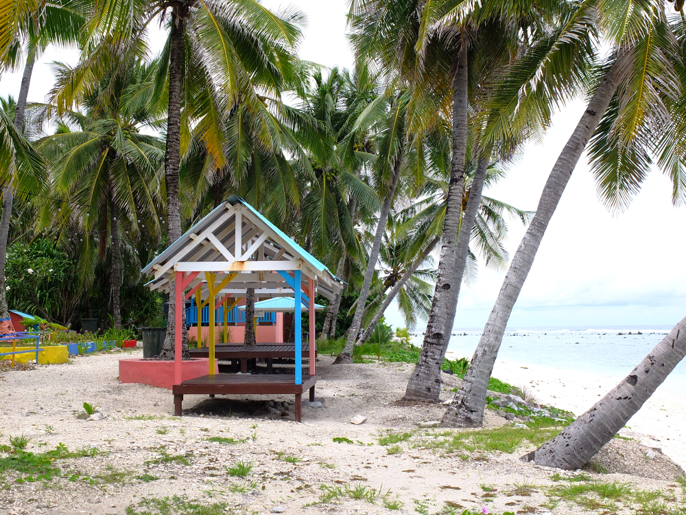 Pazifikinsel Nauru nutzt Passverkauf für Umweltschutz