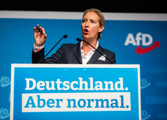 afd-überholt-union-–-koalition-auf-historischem-tiefstand