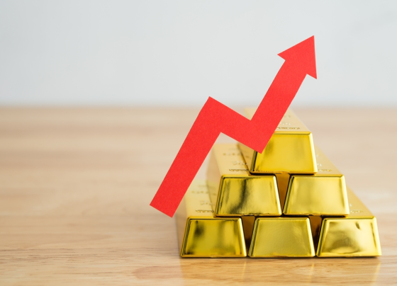 Hedgefonds-Chef warnt vor gefährlicher Gold-Rally