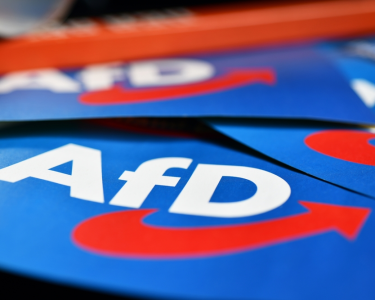 eilantrag-erfolgreich:-afd-vorerst-rehabilitiert