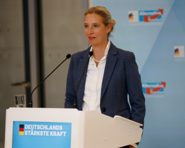 afd-steigt-auf-rekordwert,-merz-stürzt-ab