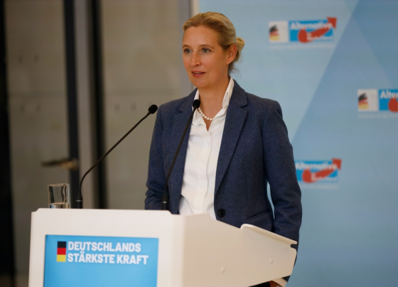 afd-steigt-auf-rekordwert,-merz-stürzt-ab