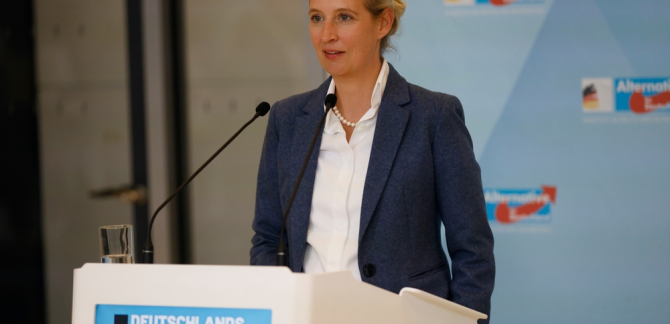 afd-steigt-auf-rekordwert,-merz-stürzt-ab